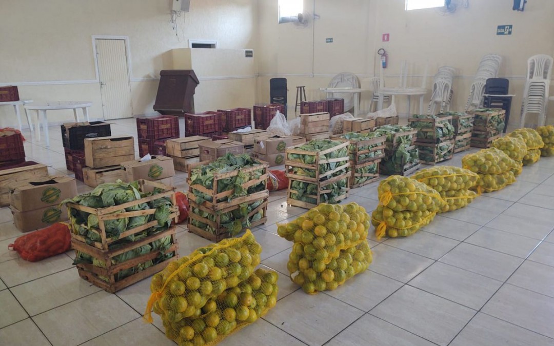 Distribuição de frutas, verduras e legumes