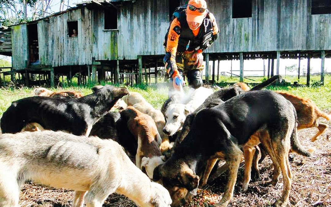 O Caso da Ilha da Morte