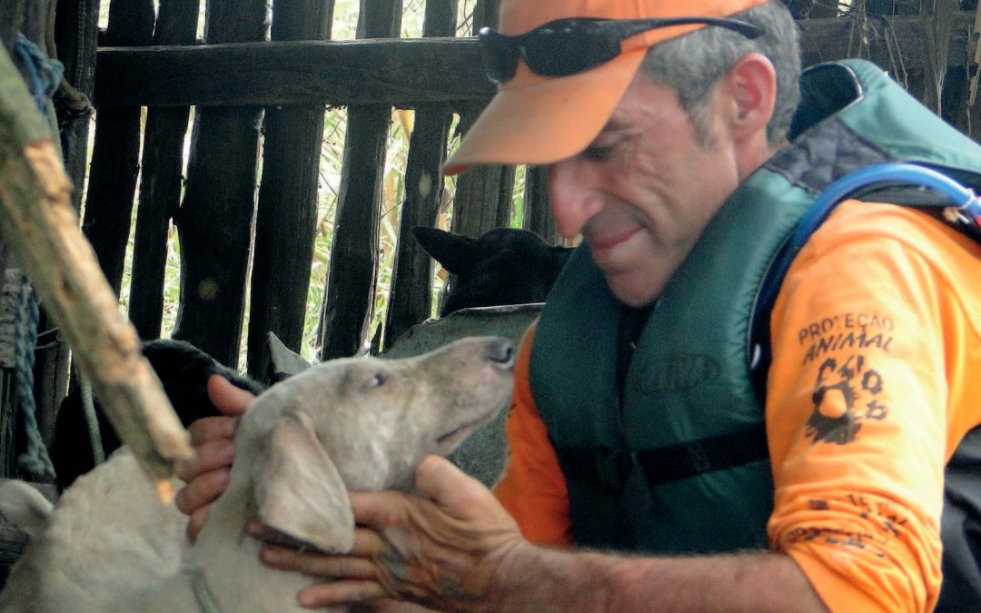 Eles procuram um lar