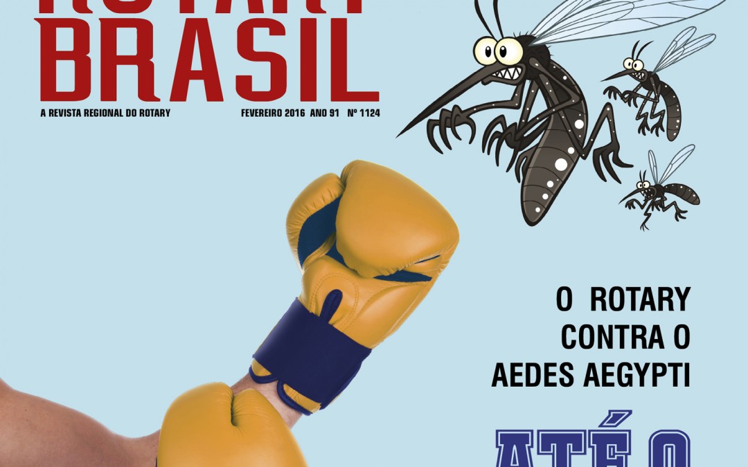 Até o último round