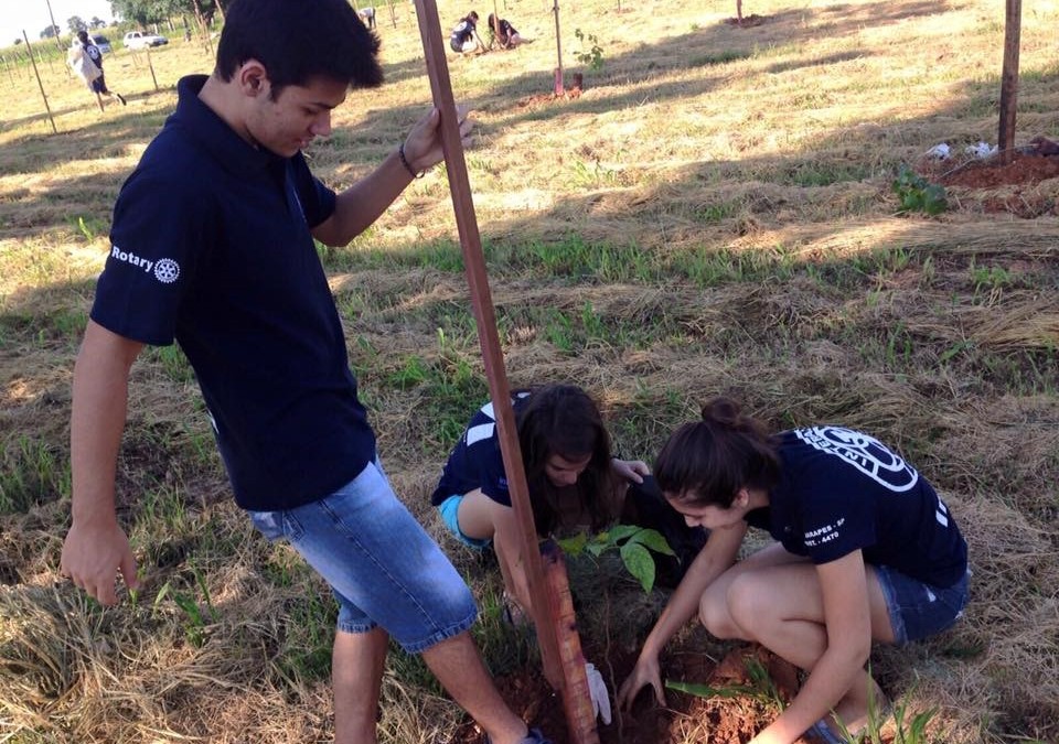 Guararapes ganha árvores em seu aniversário