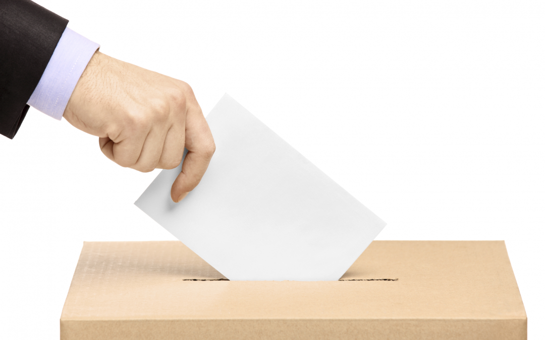 Votação para diretor do Rotary International da Zona 23