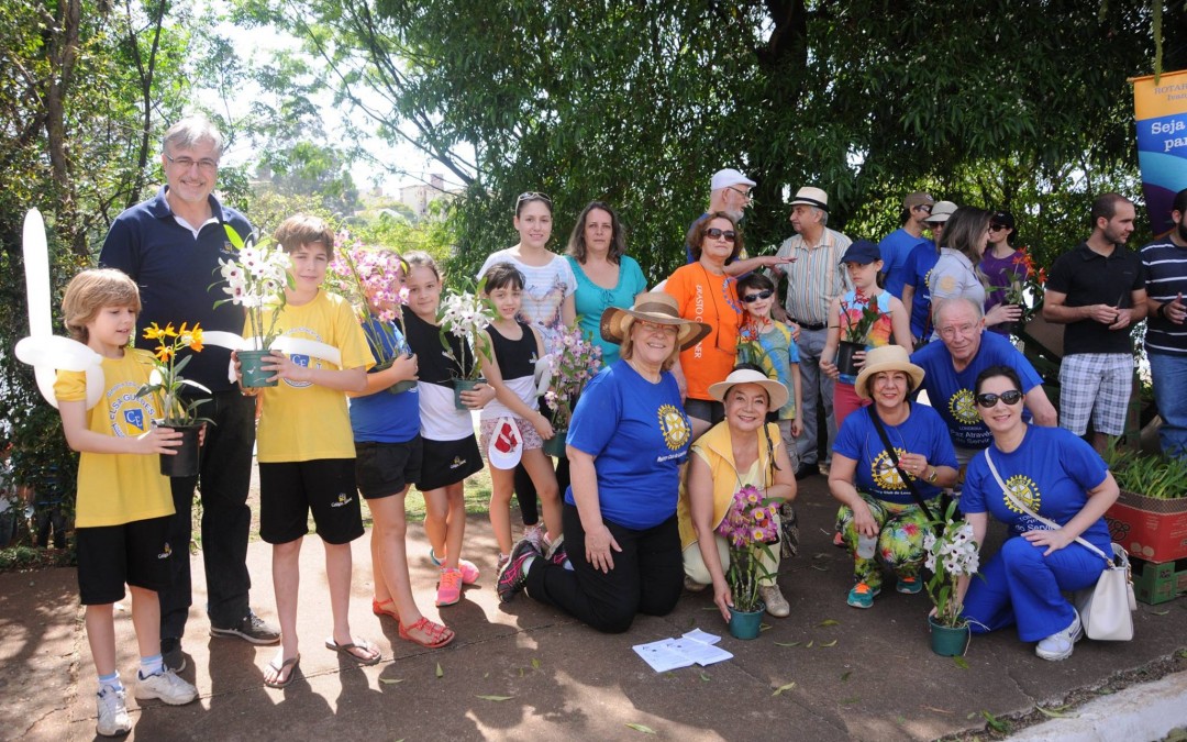 Plantio de orquídeas