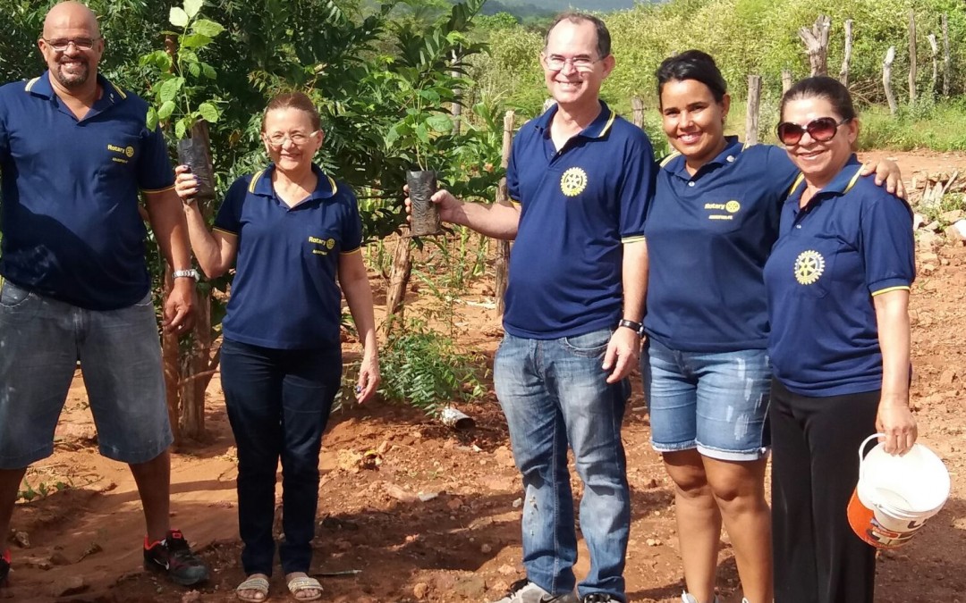Plantando consciência ambiental