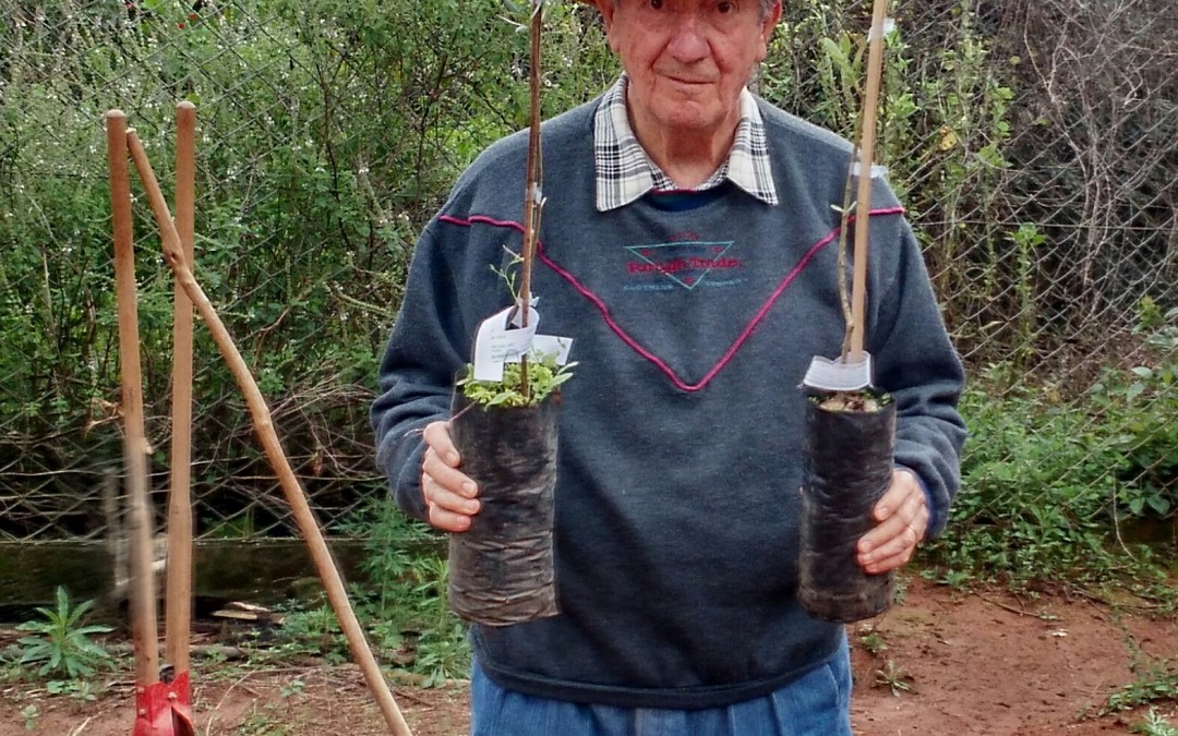 Dia Mundial do Meio Ambiente