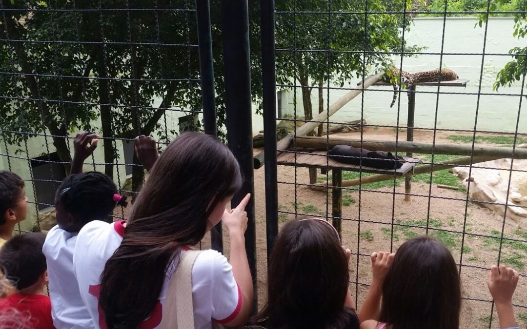 Passeio no zoológico e piquenique