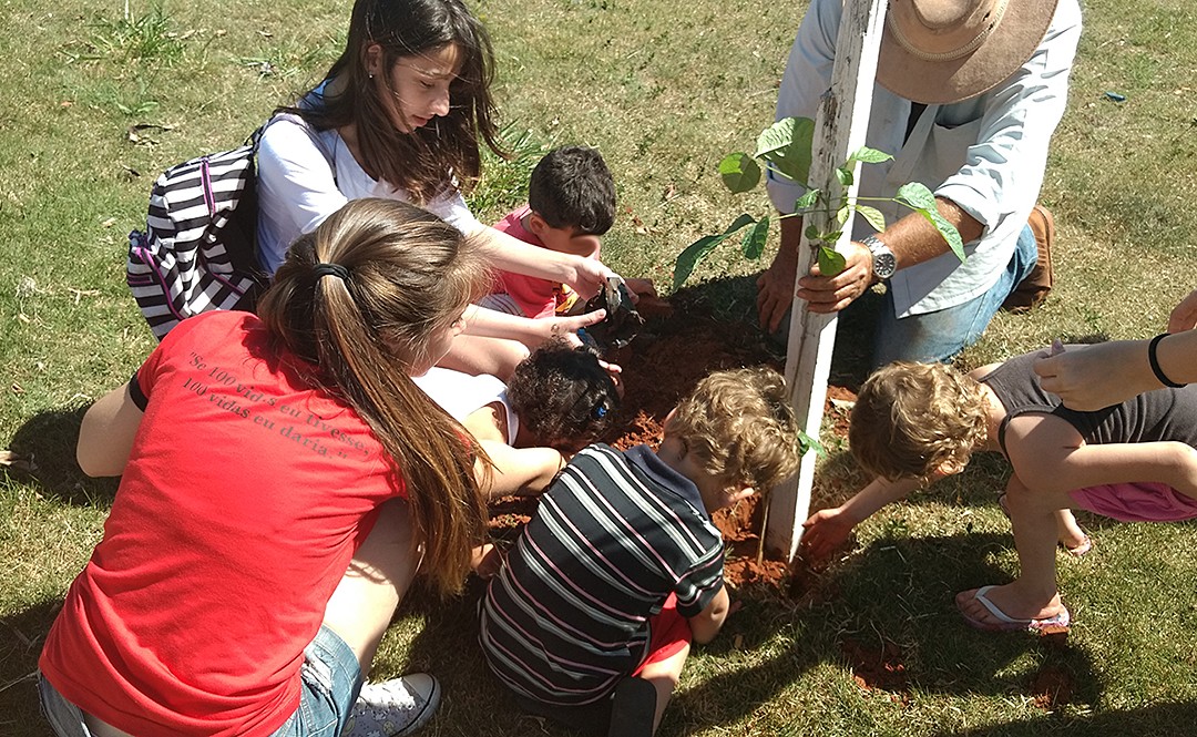 Plantando o futuro em Ibitinga