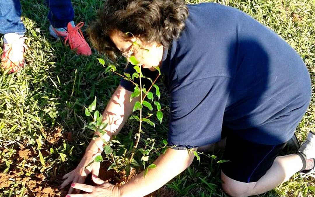 Clube planta 50 mudas de árvores em Marília