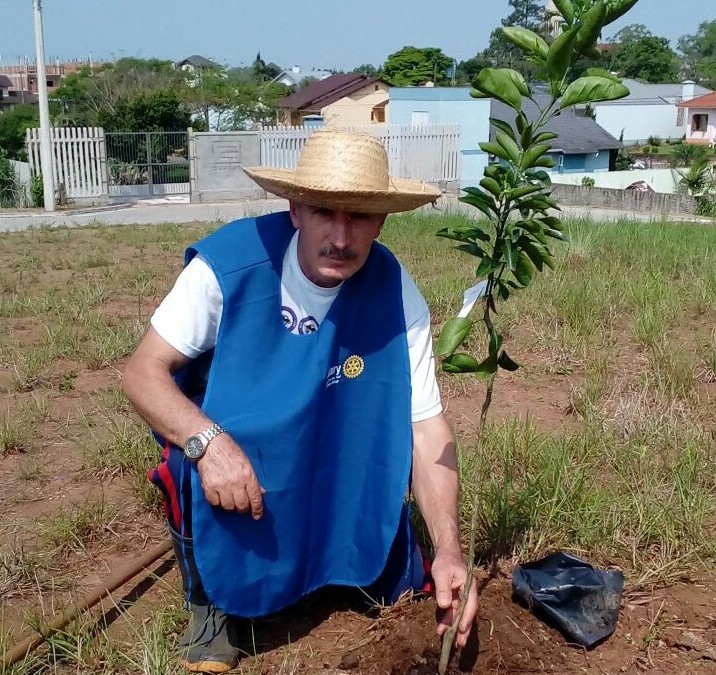 Plantio de mudas em comemoração