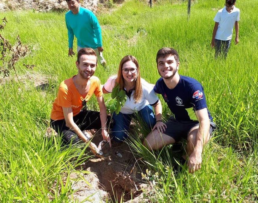Mil árvores plantadas