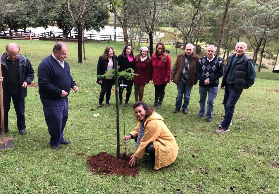 Preservação ambiental