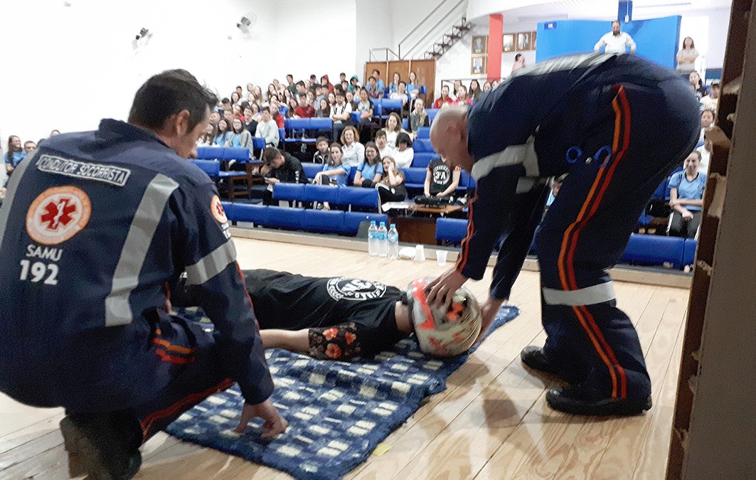 Paz no Trânsito e reflorestamento