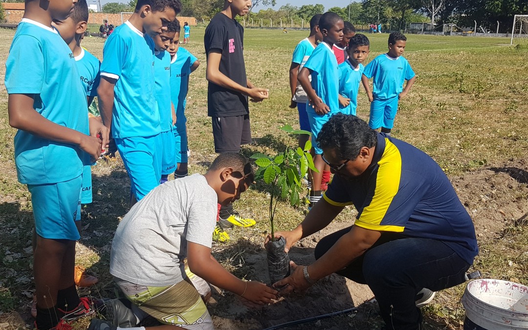 Plantio, campanha e celebração