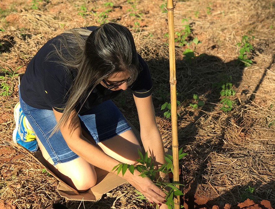 Ecoparque das Sucupiras ganha mudas