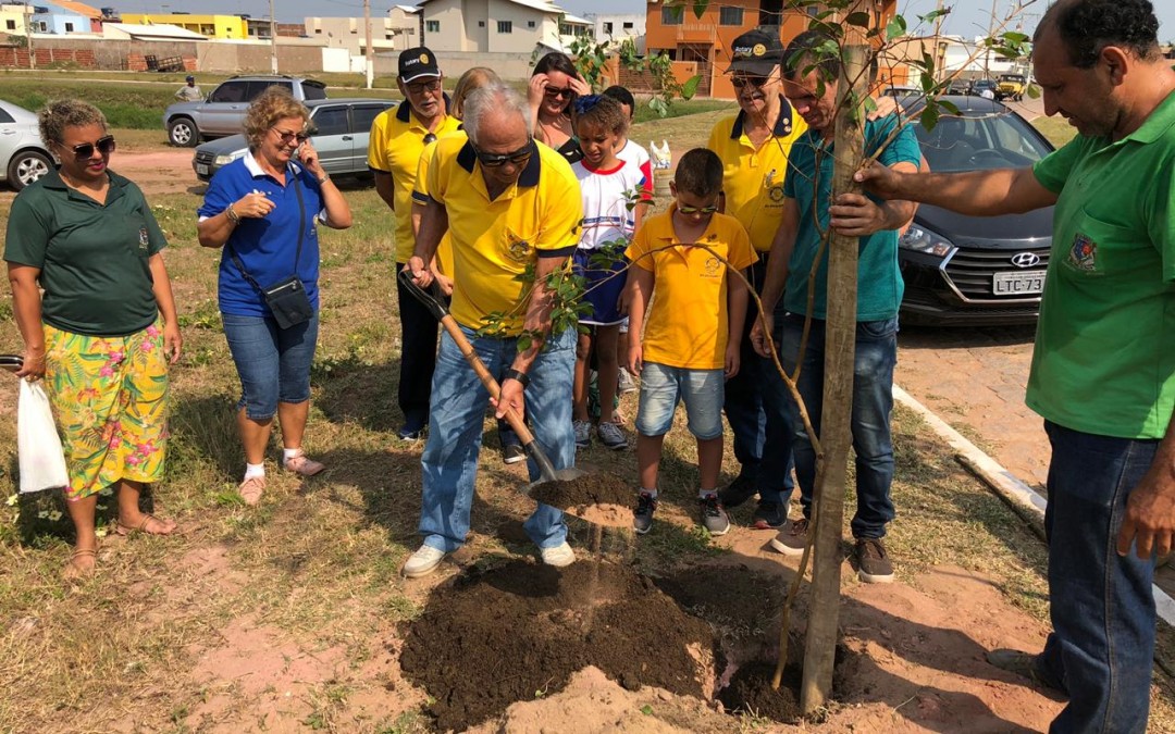 Preservação do meio ambiente