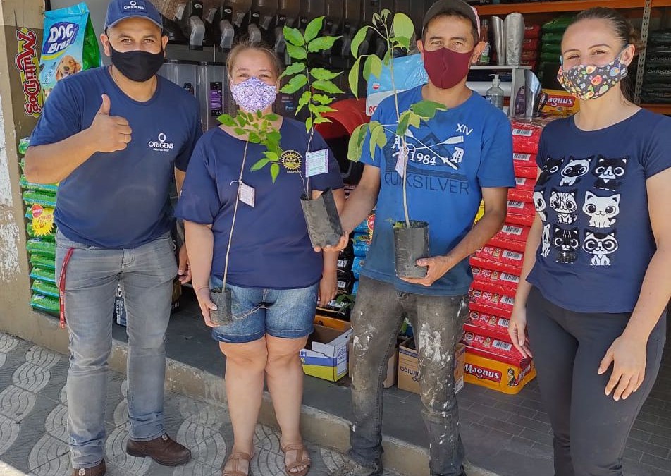 Distribuição de mudas de árvores e projeto Cartinhas