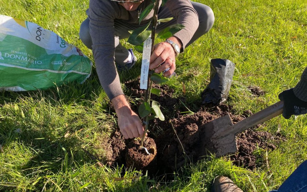 Projetos Preserve o Planeta Terra e Som Verde Oliva