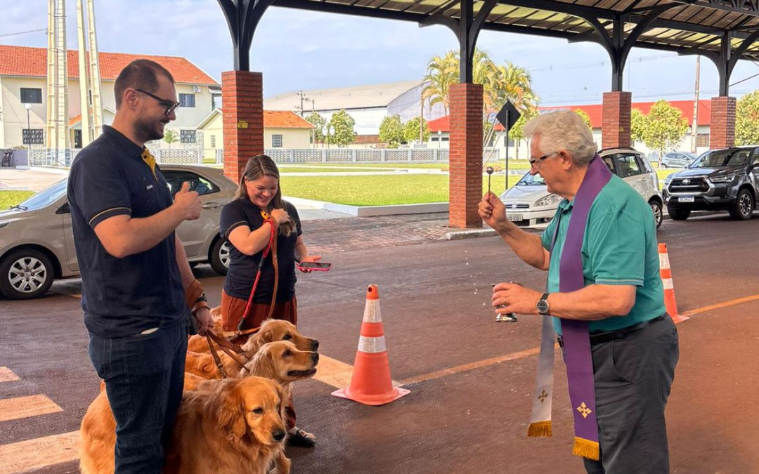 Projetos em prol dos animais e formação cidadã de jovens