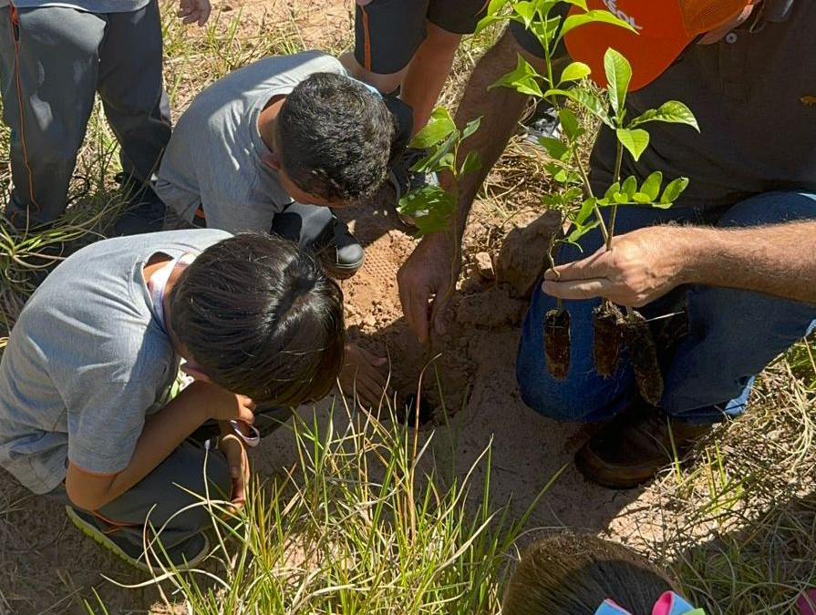 Conscientização ambiental